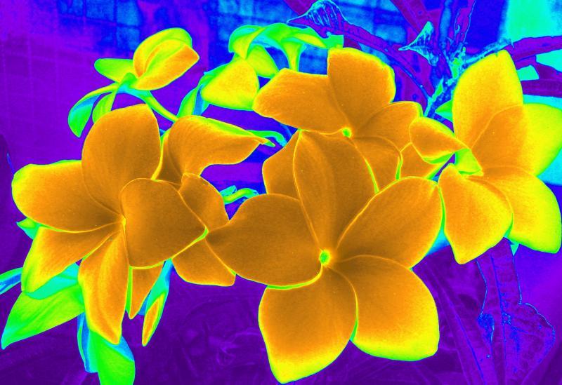 post-231841-0-89145100-1437397578_thumb.