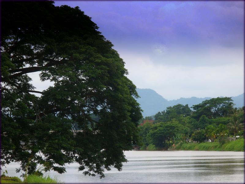 post-231841-0-91265100-1435836451_thumb.