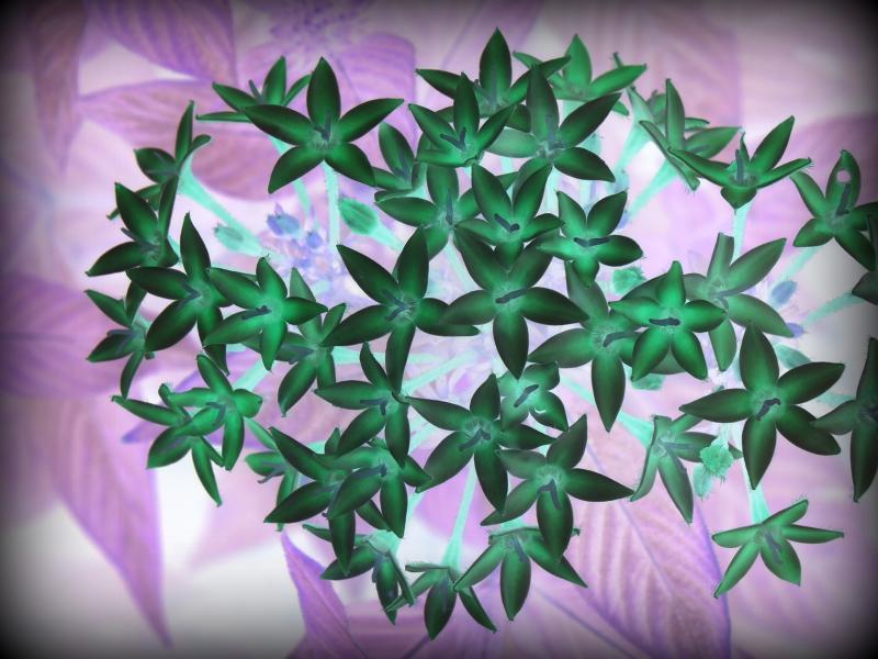 post-231841-0-94699900-1436011243_thumb.