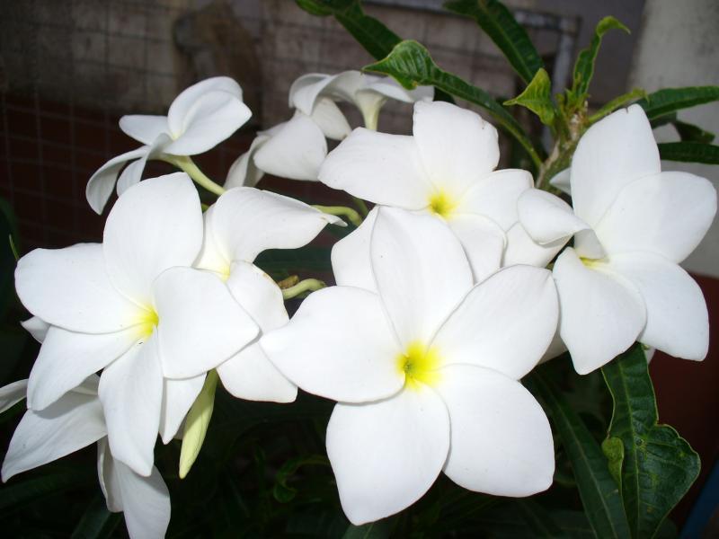 post-231841-0-98893000-1437397506_thumb.