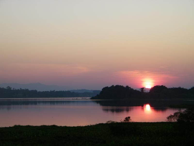 post-232120-0-47684000-1436783991_thumb.