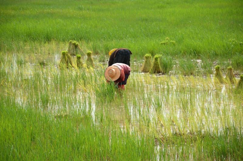 post-237730-0-12238100-1437733585_thumb.