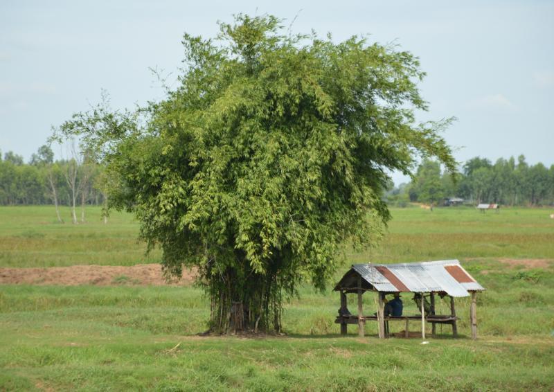 post-237730-0-26900500-1437971128_thumb.