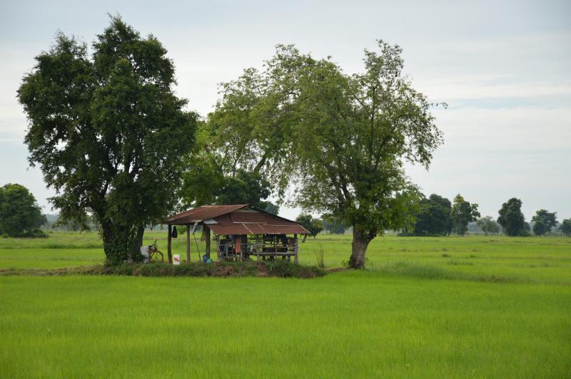 post-237730-0-29476500-1437967839_thumb.