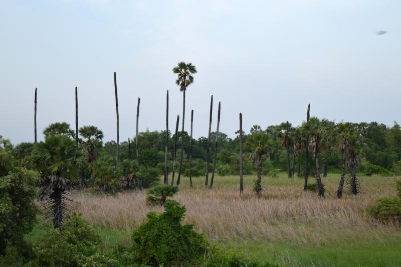 post-237730-0-34140800-1437015502_thumb.