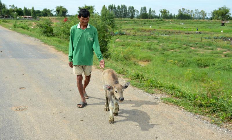 post-237730-0-38807400-1437968344_thumb.