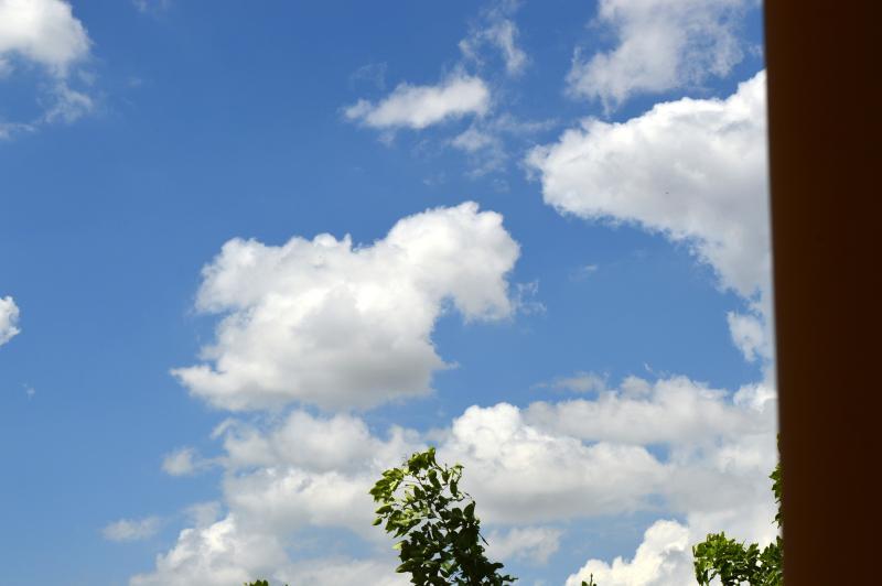 post-237730-0-41085800-1437016154_thumb.