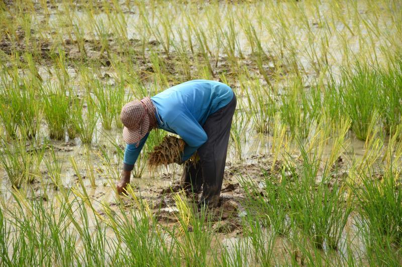 post-237730-0-52665300-1437733475_thumb.