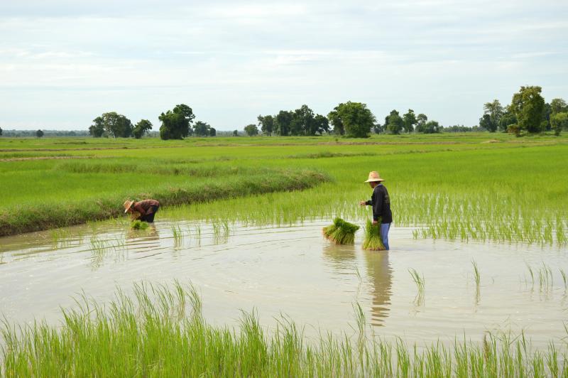 post-237730-0-56231000-1437733349_thumb.