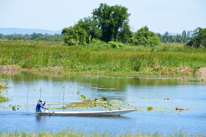 post-237730-0-70375400-1435739665_thumb.