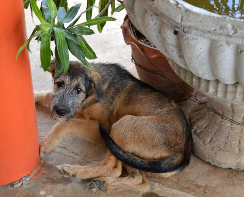 post-237730-0-72857500-1436008721_thumb.