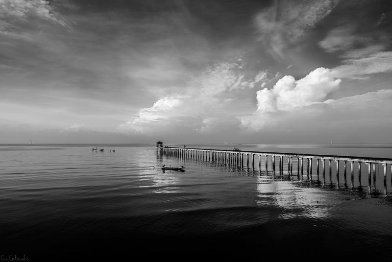 post-242715-0-66084700-1437721462_thumb.