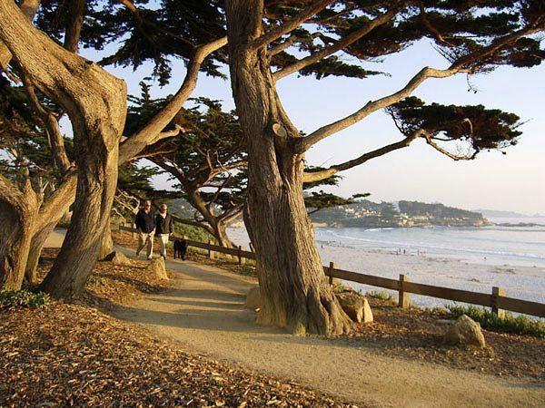 post-242731-0-42453800-1437816300_thumb.