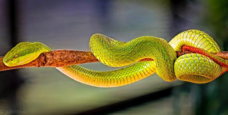 post-242846-0-22927100-1438068690_thumb.