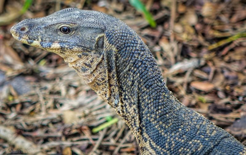 post-242846-0-41101000-1438172953_thumb.