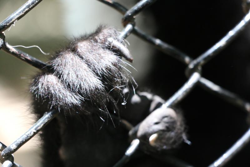 post-243048-0-18017900-1438231261_thumb.