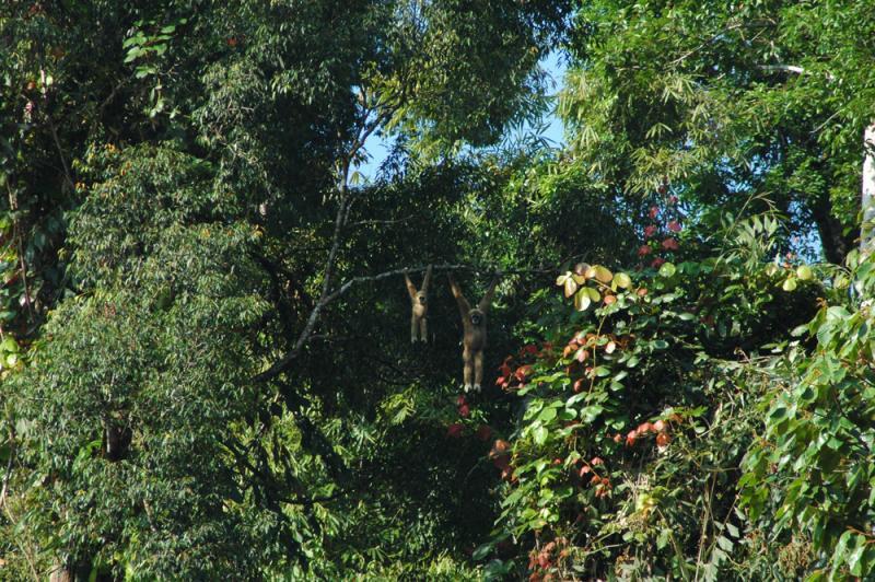 post-32010-0-66114200-1438134888_thumb.j