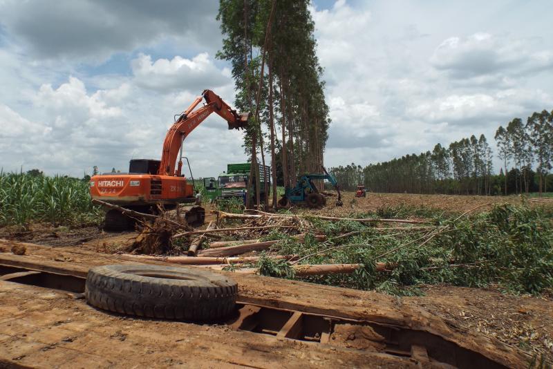 post-32351-0-05790400-1437890212_thumb.j