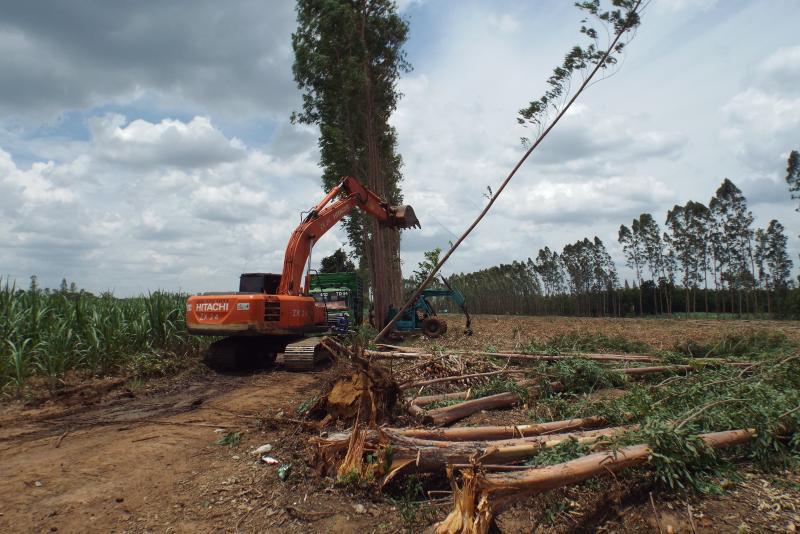 post-32351-0-14296800-1437890289_thumb.j