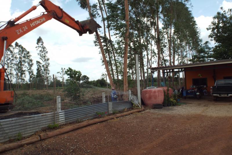 post-32351-0-14814400-1437891442_thumb.j