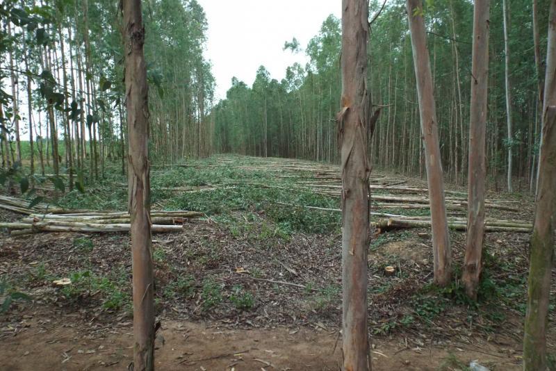 post-32351-0-20834900-1437479120_thumb.j