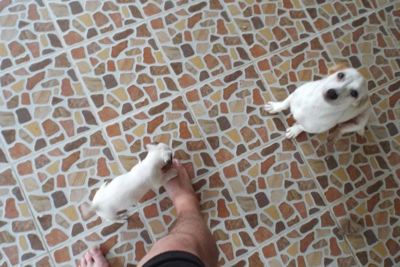 post-32351-0-66989000-1437478653_thumb.j