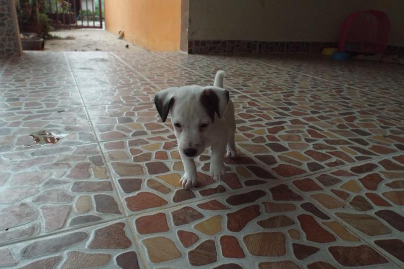 post-32351-0-72342800-1437478606_thumb.j