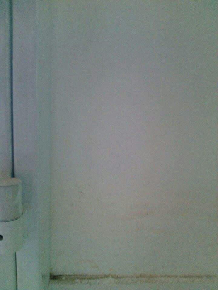 post-33663-1437904489148_thumb.jpg