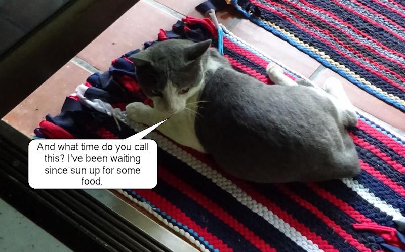 post-35489-0-13398700-1436706776_thumb.j