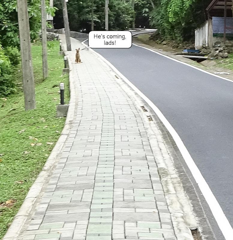 post-35489-0-23669200-1437974511_thumb.j