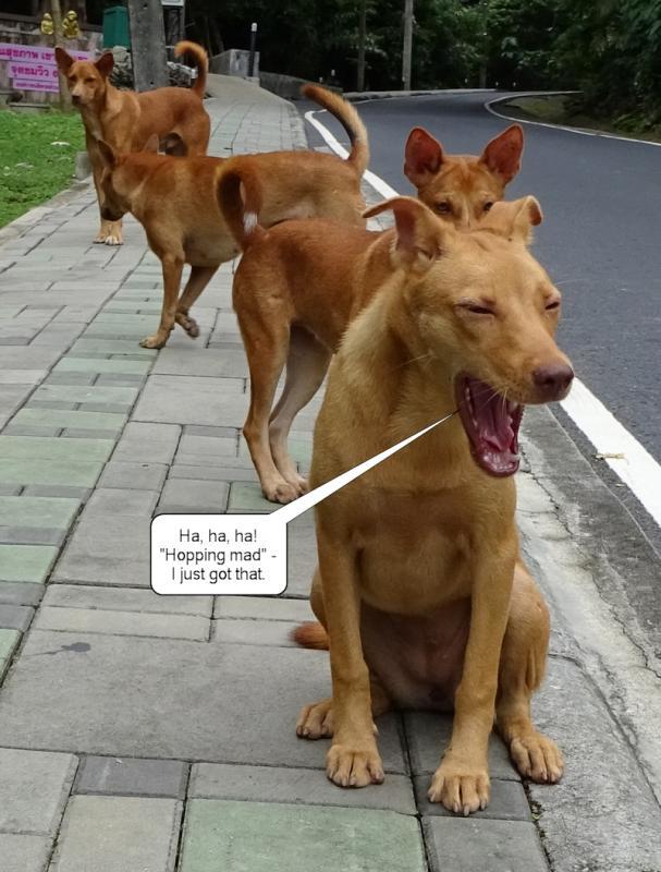 post-35489-0-43368200-1437974569_thumb.j