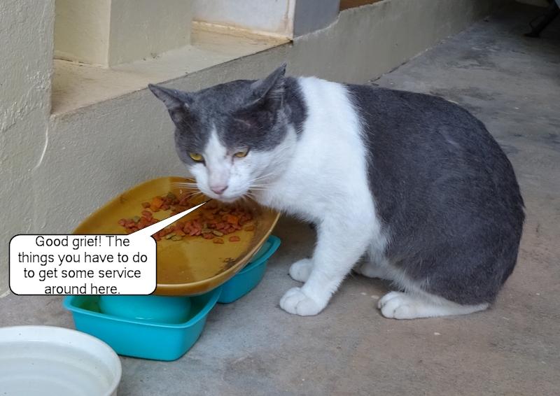 post-35489-0-62158300-1436706816_thumb.j