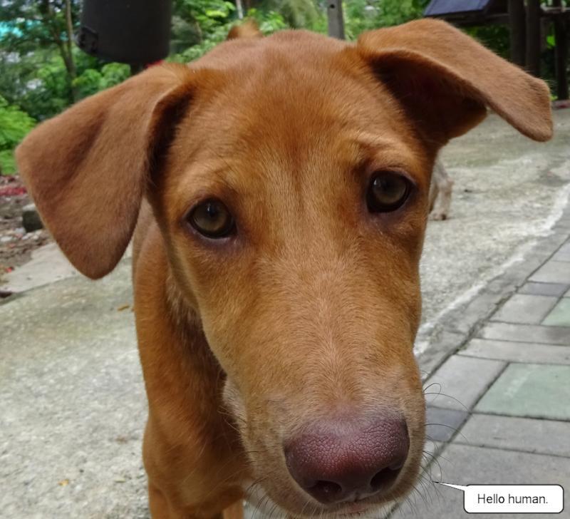 post-35489-0-92659400-1436790648_thumb.j