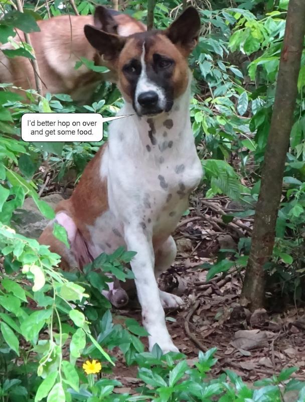 post-35489-0-95926000-1437974529_thumb.j