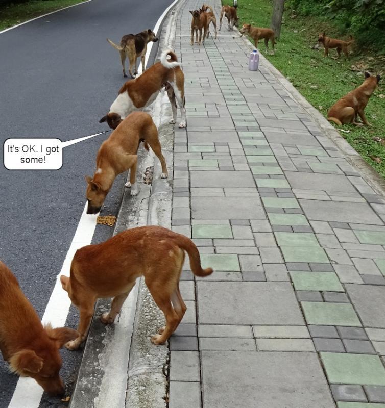 post-35489-0-96823700-1437974590_thumb.j