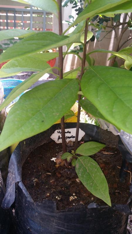 post-55492-0-74419700-1436767355_thumb.j