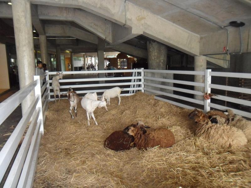 post-68373-0-46610700-1437561081_thumb.j