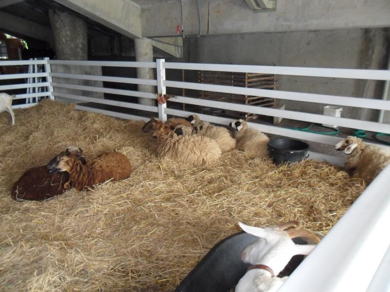 post-68373-0-60448300-1437560979_thumb.j