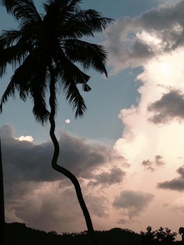 post-82921-0-34663800-1437184916_thumb.j