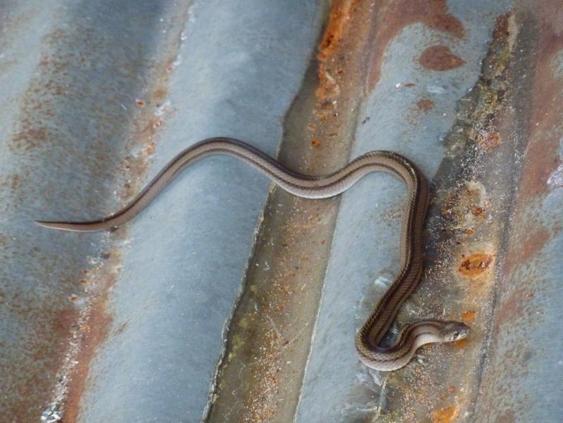 post-89800-0-37385800-1436493208_thumb.j