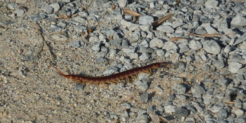 post-89800-0-53751900-1436493173_thumb.j