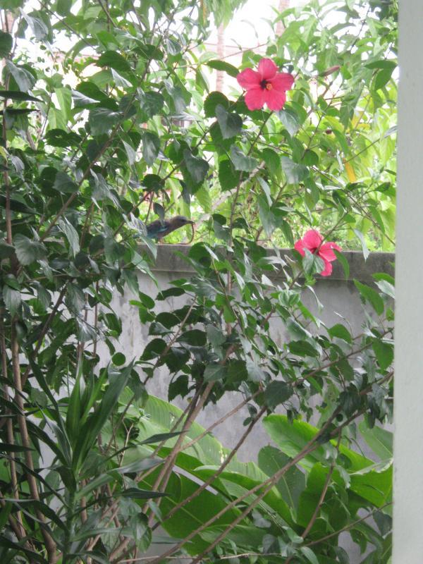 post-90689-0-28843600-1437201766_thumb.j