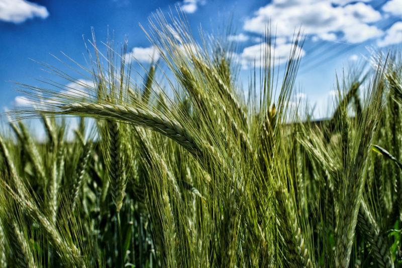 post-93078-0-06070000-1437986610_thumb.j