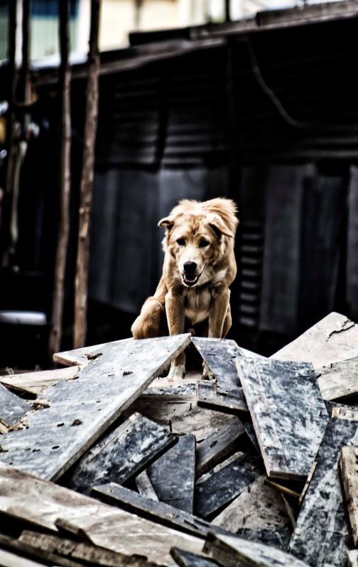 post-93078-0-11162800-1437559399_thumb.j