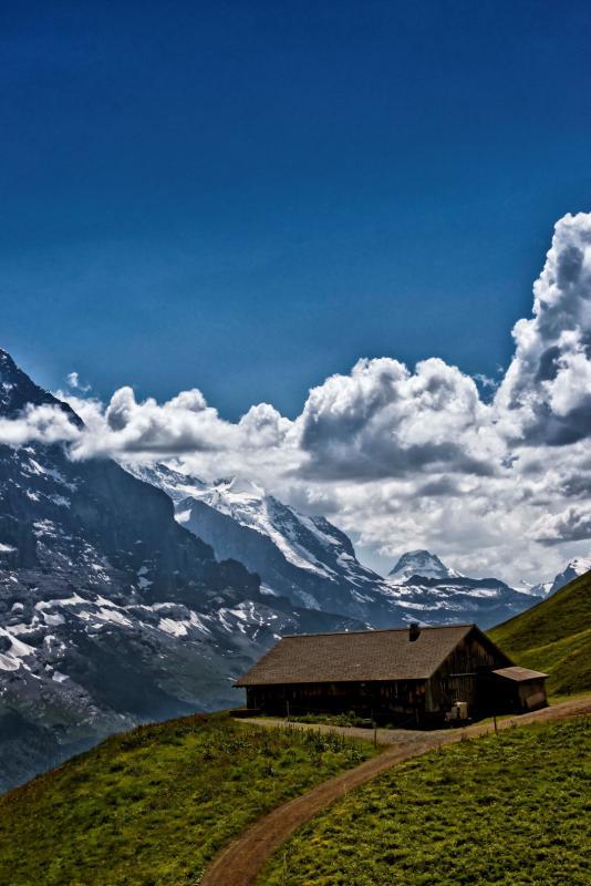 post-93078-0-22445000-1437374054_thumb.j