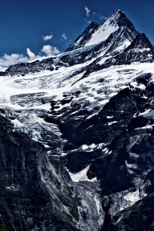 post-93078-0-25814600-1437373968_thumb.j