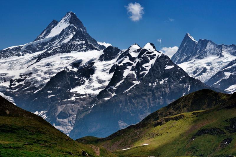 post-93078-0-30649300-1437373923_thumb.j