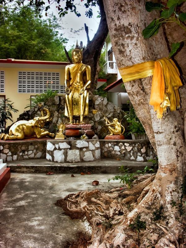 post-93078-0-61966800-1437986778_thumb.j