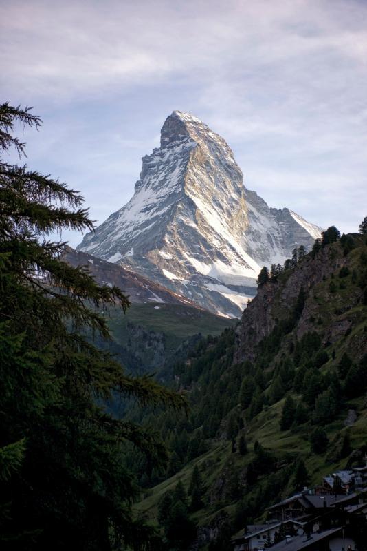 post-93078-0-69092200-1437073393_thumb.j