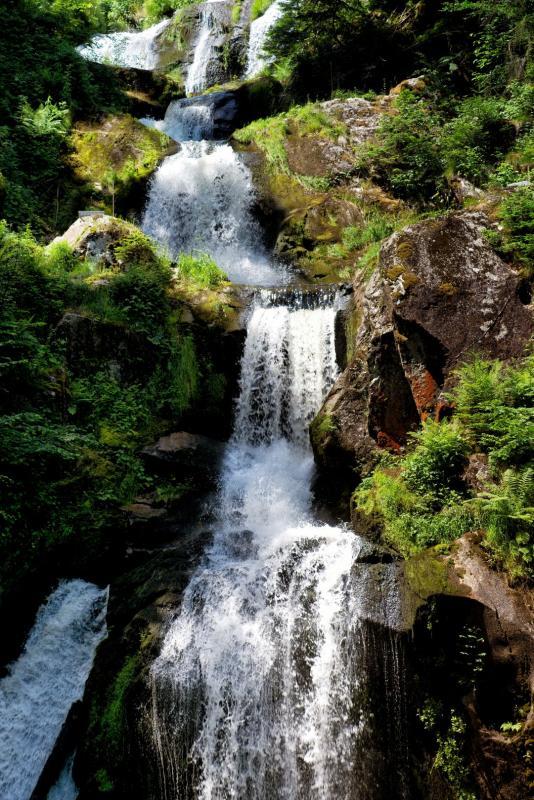 post-93078-0-78968300-1437741599_thumb.j